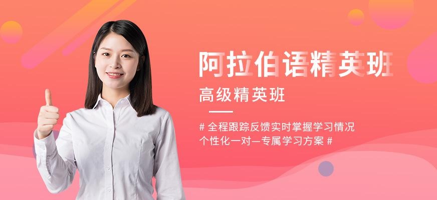 阿拉伯语精英班