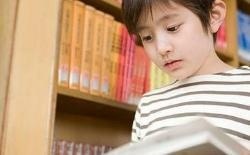联邦高级中学