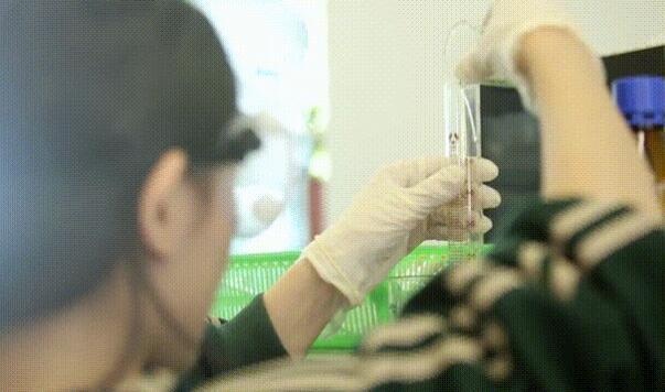 北京市私立汇佳学校