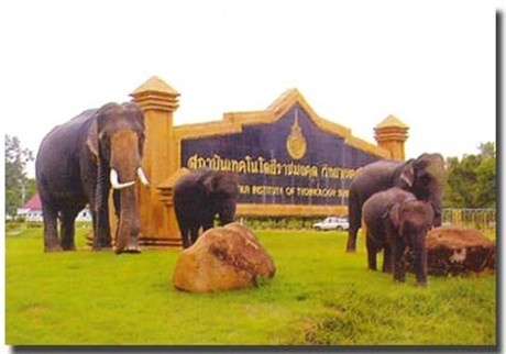 东北皇家理工大学