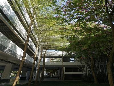广东金融学院