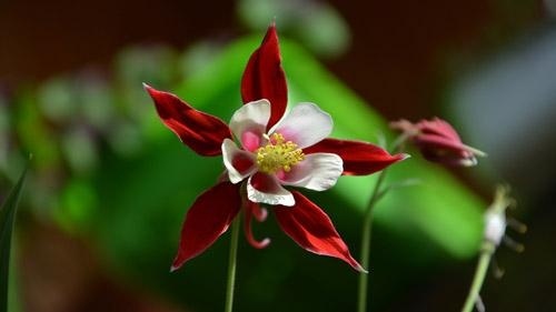 高中座右铭课前演讲稿