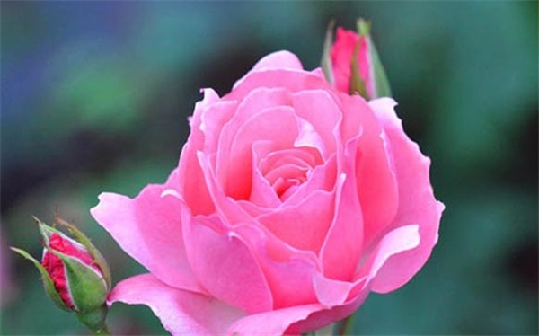 平面设计师如何提高色彩搭配能力