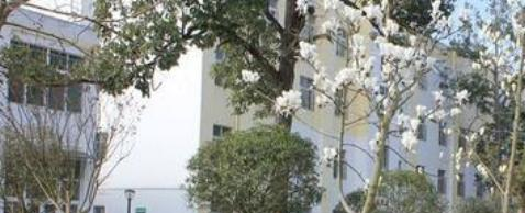 剑阁县武连职业中学怎么样、好不好