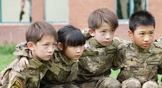 7天营期安排