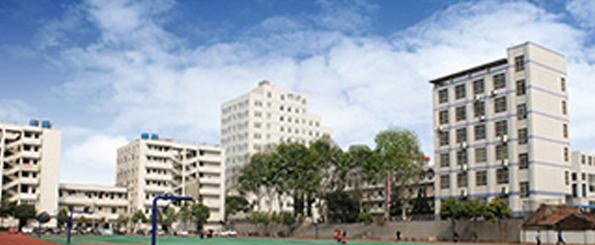 武汉石牌岭高级职业中学6