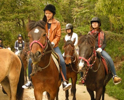 西安交通大学苏州研究院