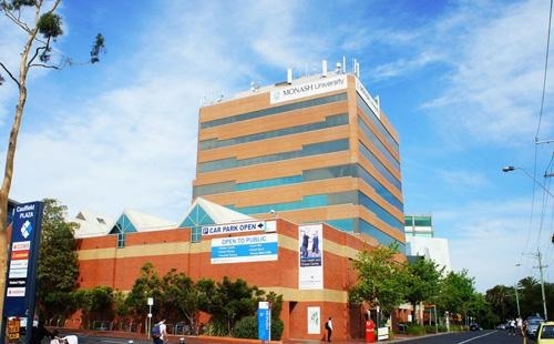 莫纳什大学