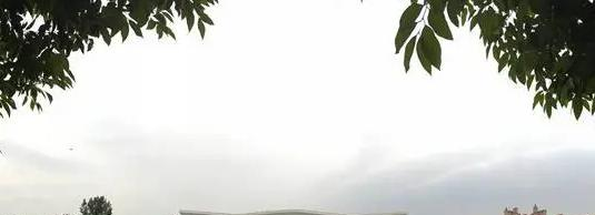 成都麓山国际光亚学校初中部怎么样2