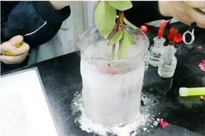 领科国际高中特色课程：领科家的生化课