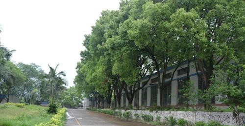 宜宾职业技术学院地址在哪里