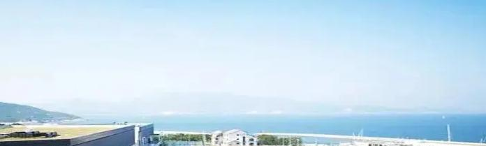  深圳赛格国际学校怎么样
