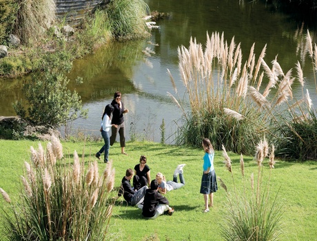 新西兰脊椎神经学院