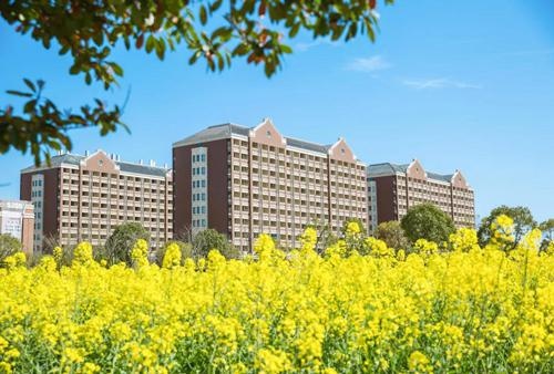 宿舍.jpg