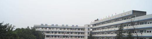 四川犍为罗城中学