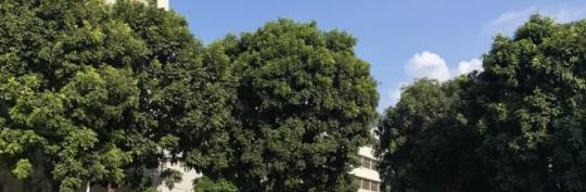 汕头光明理工职业技术学校