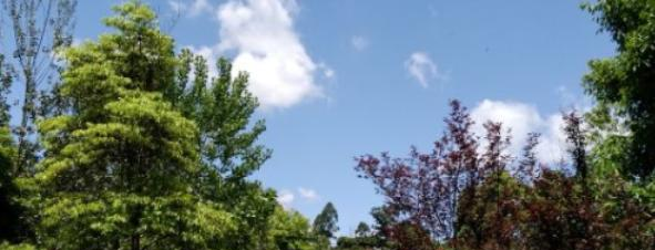 蒲江县职业中专学校地址在哪里