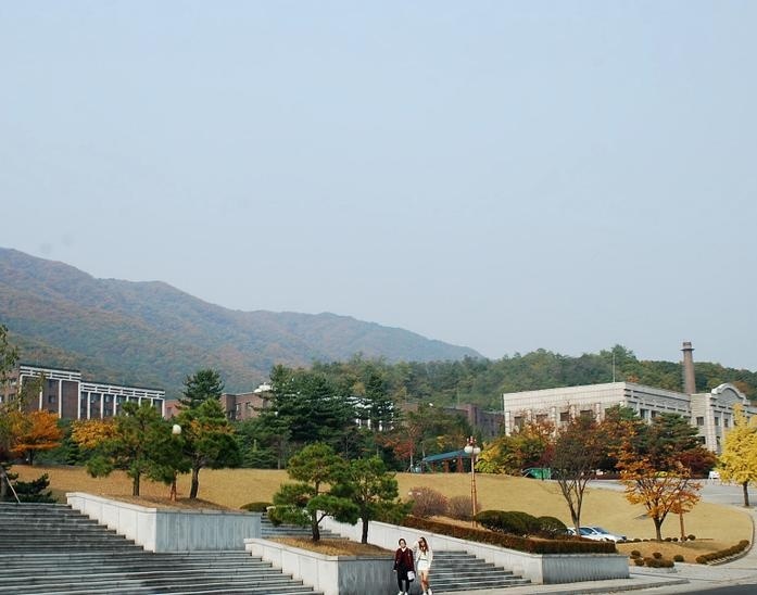 大真大学
