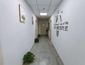 厦门文都考研