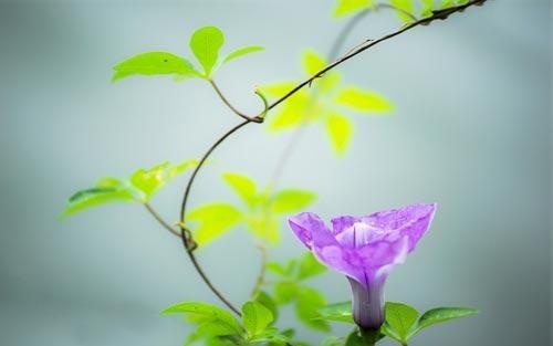 夏令营基地的作文