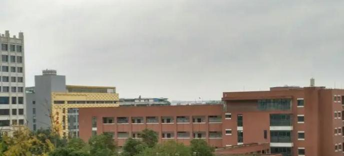 四川大学附属中学国际部2022年入学条件