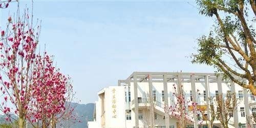 重庆商务职业学院单招报名时间