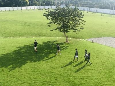 上海诺美学校