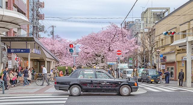 中高级（N3级-N2级）