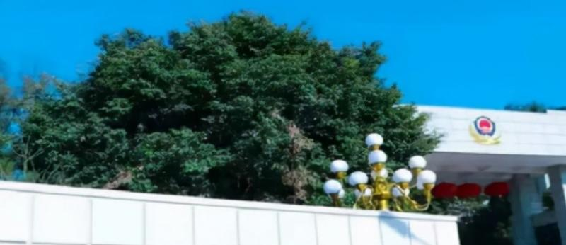 往年高考多少分可以上广东警官学院？（2023年参考）