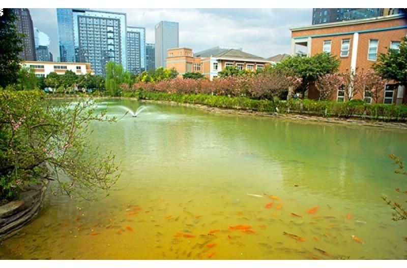 成都美视学校