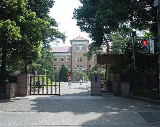 淑德大学