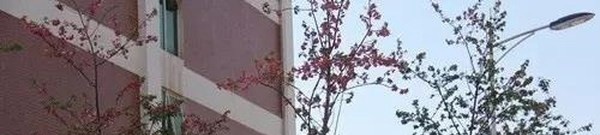 威信县职业高级中学学校地址在哪里