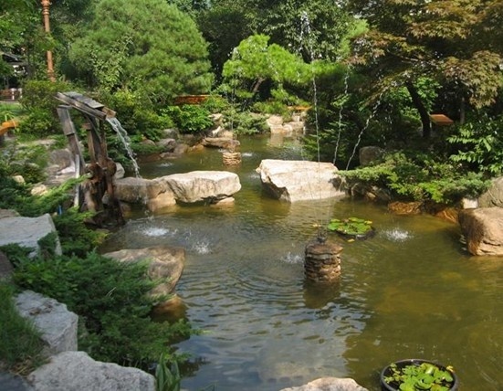 仁济大学