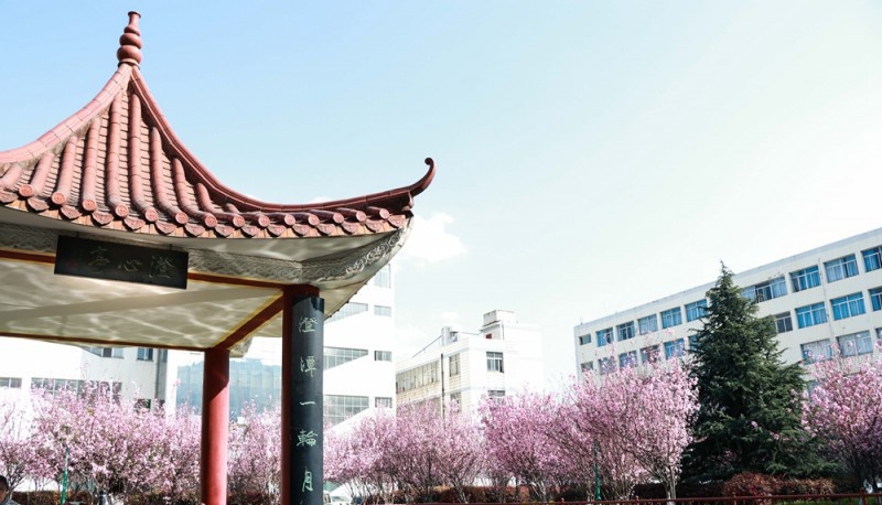 昆明医药职业技术学校