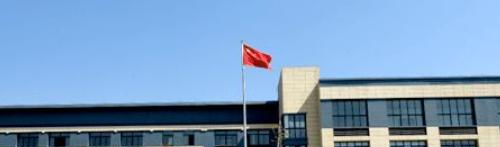 乐清柳市职业技术学校