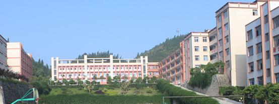 资阳市乐至机电学校