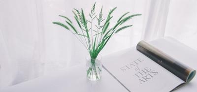 昆明零基础英语师生互动图片