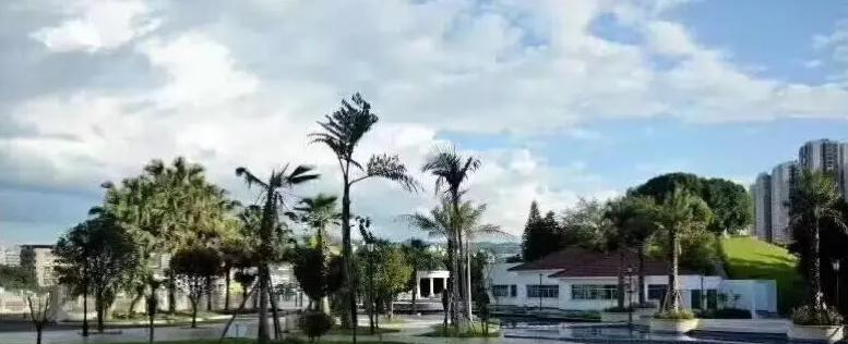 重庆万州赛德国际学校小学部2023年入学条件2