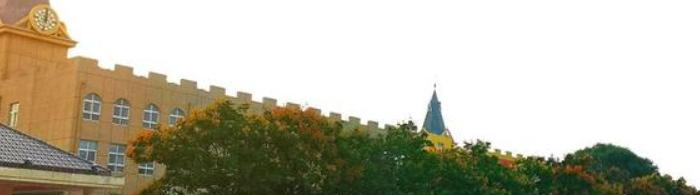 河南财政金融学院