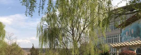 定西师范高等专科学校2020年学费、收费多少