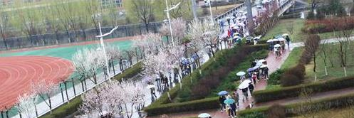 长春职业技术学院3