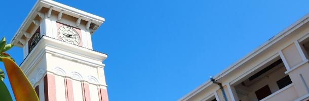 西南大学临高实验中学2023年网站 