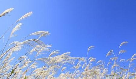 兄弟连网络营销培训班配图