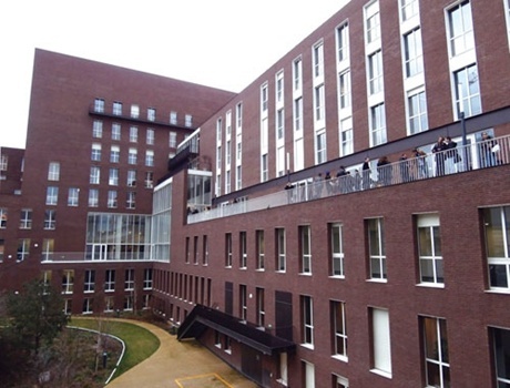 巴黎东方语言文化学院