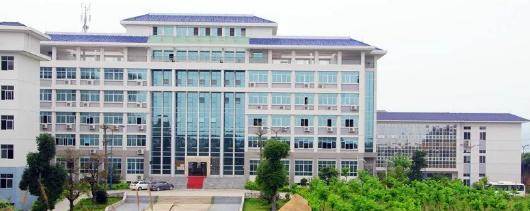 广东信息工程职业学院是几专