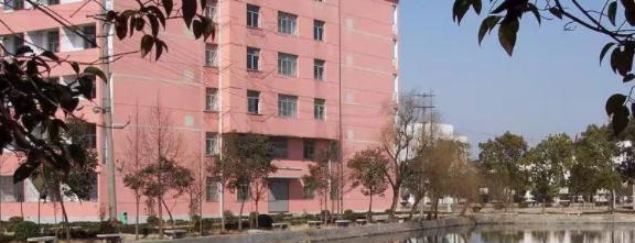 安徽工业经济职业技术学院网站