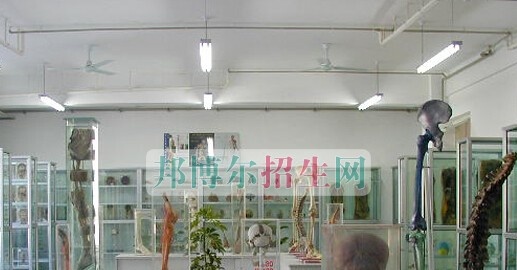 山东省青岛卫生学校