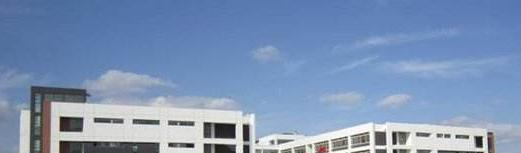 潍坊德润国际双语学校2020年招生办