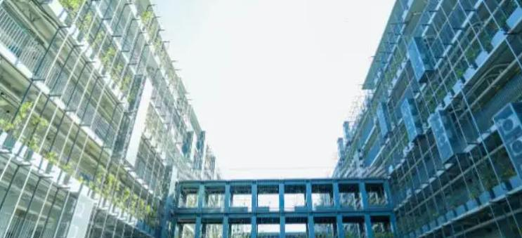 珠海科爱赛国际学校靠谱吗2