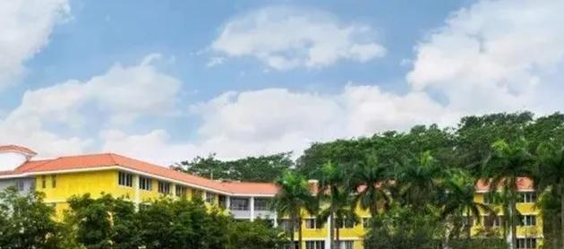 广州誉德莱国际学校初中部靠谱吗